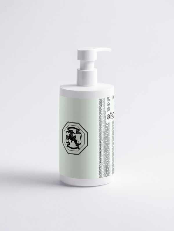 Shampooing hydratant pour cheveux colorés – Image 2