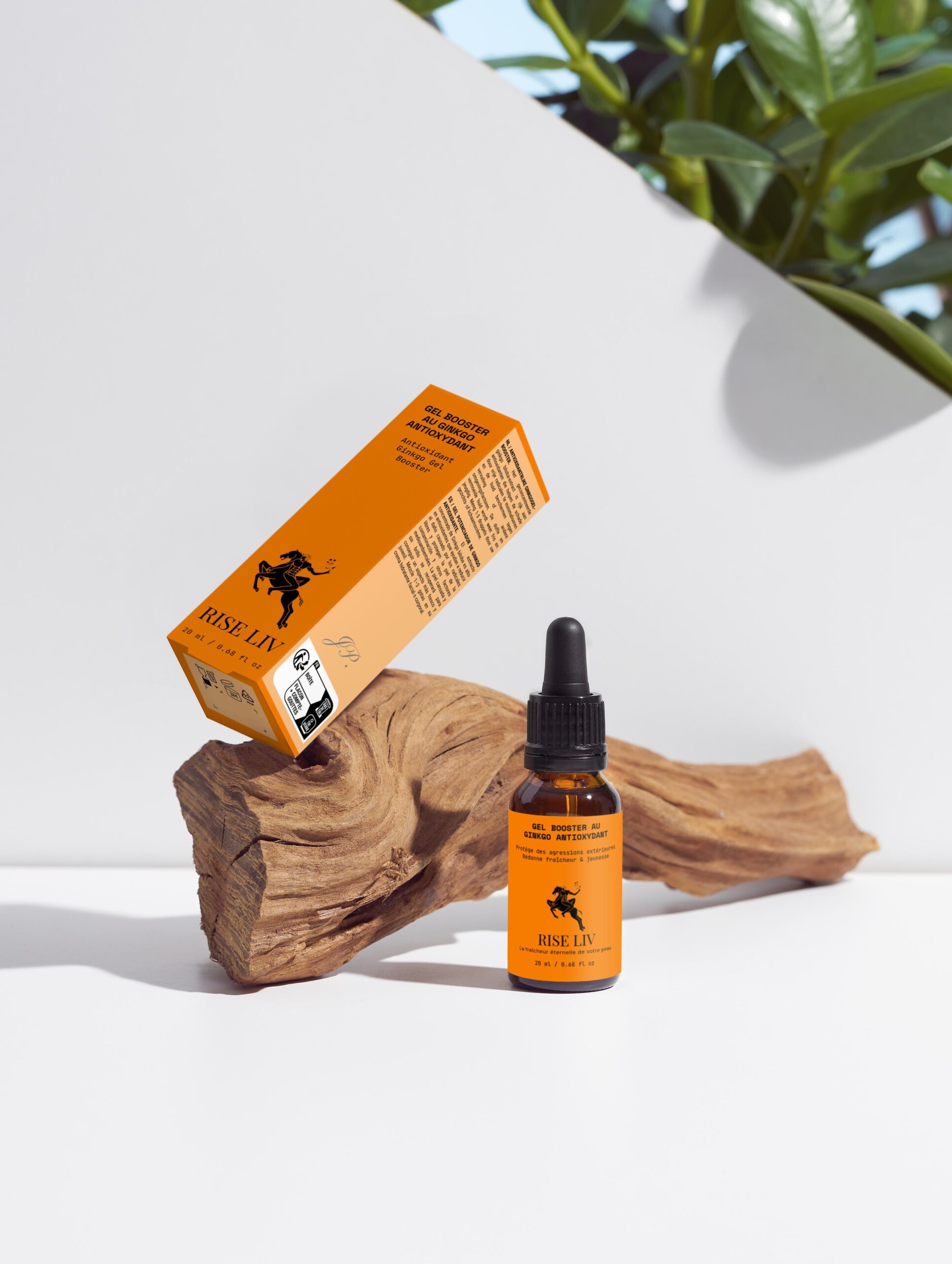 Gel Booster au ginkgo antioxydant – Image 3